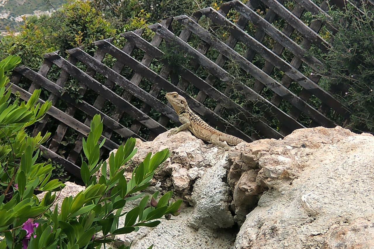 Villa Hermiona Sakarya Dış mekan fotoğraf